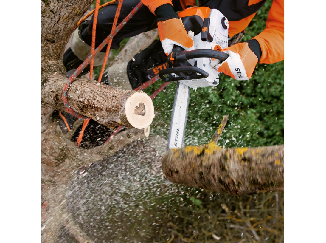 Découpe d'un tronc Tronçonneuse MS 201 TC-M - Stihl