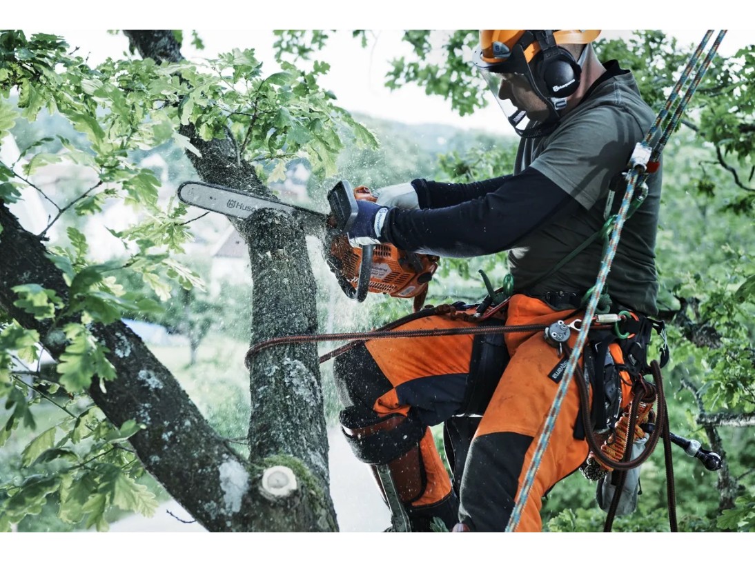 Tronçonneuse T 540XP Mark II Husqvarna situation de coupe dans un arbre