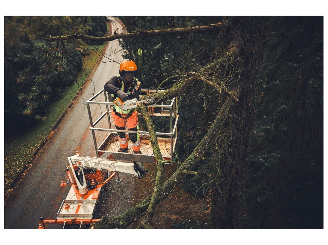 Tronçonneuse élagueuse à batterie MSA 190T Stihl