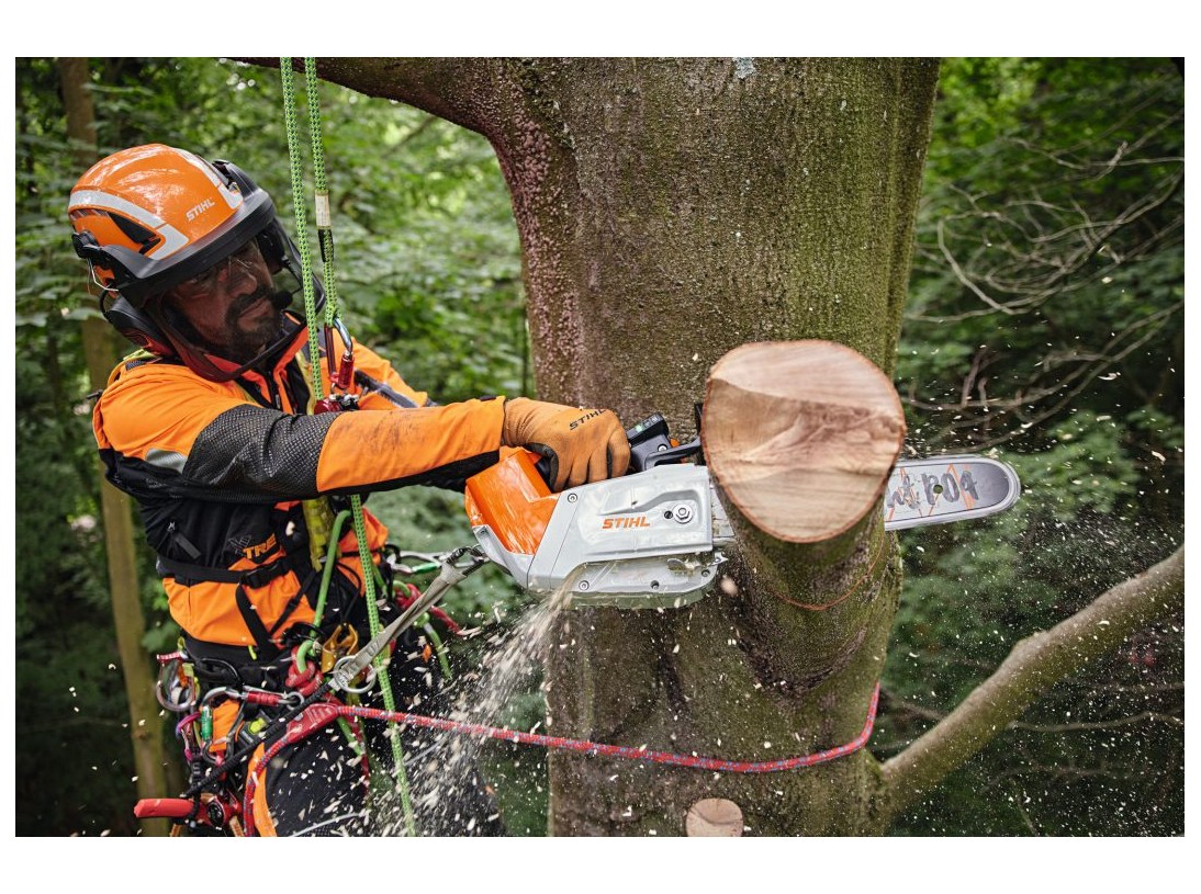 Coupe d'une branche avec la Tronçonneuse à batterie MSA 220 T R35 Stihl