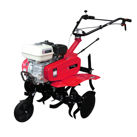 MOTOBINEUSE TEMVER MT75-3H Moteur HONDA