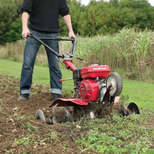 Entretenir le potager