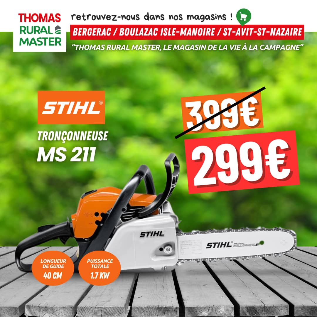 Promo tronçonneuse ms 211