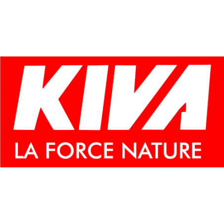 Kiva